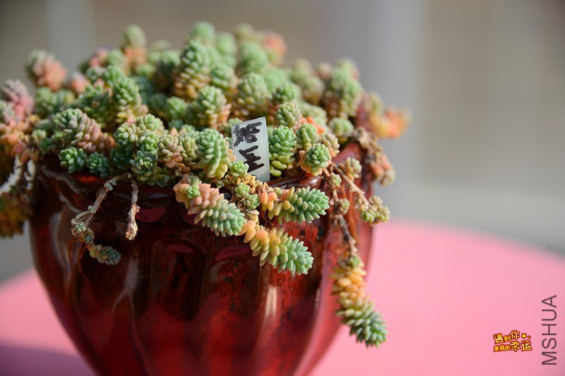 ��Ƭ 110_����.jpg