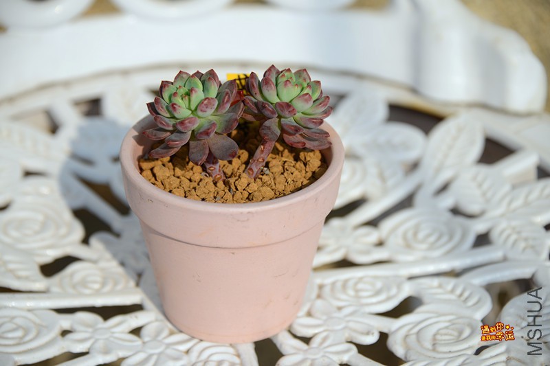 ��Ƭ 068_����.jpg