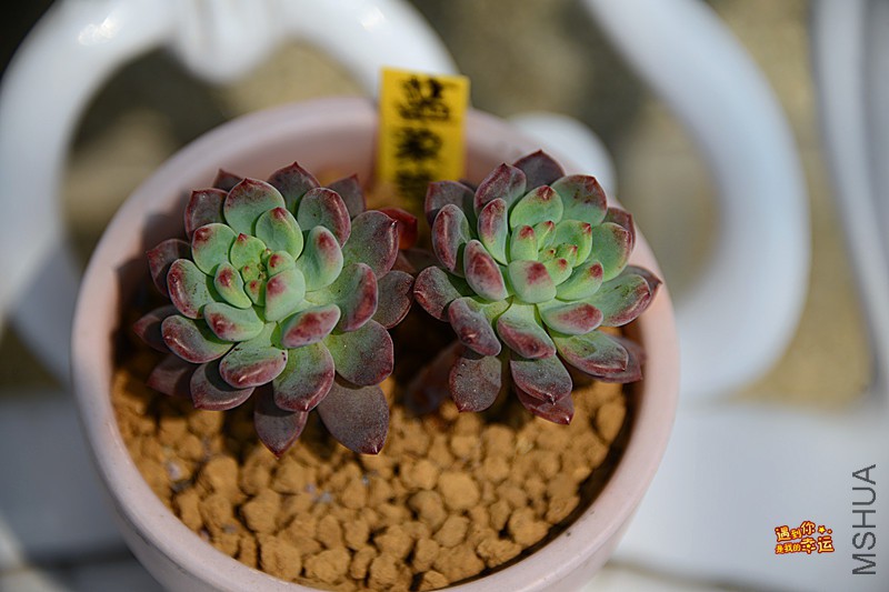 ��Ƭ 069_����.jpg