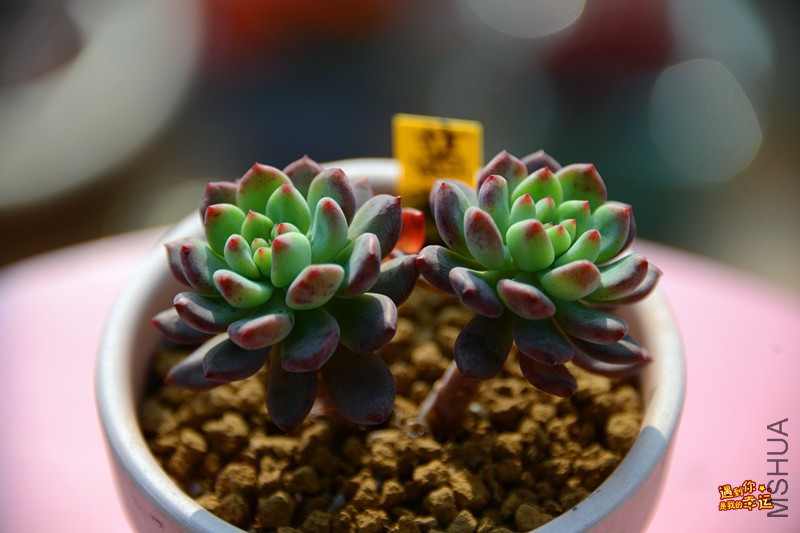 ��Ƭ 071_����.jpg