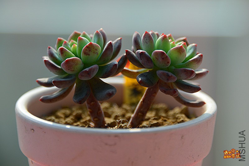 ��Ƭ 074_����.jpg