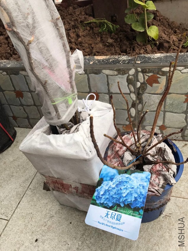 HY���޾���