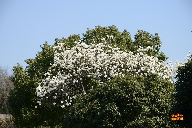 ��Ƭ 001_����.jpg