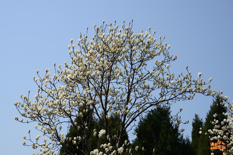 ��Ƭ 003_����.jpg