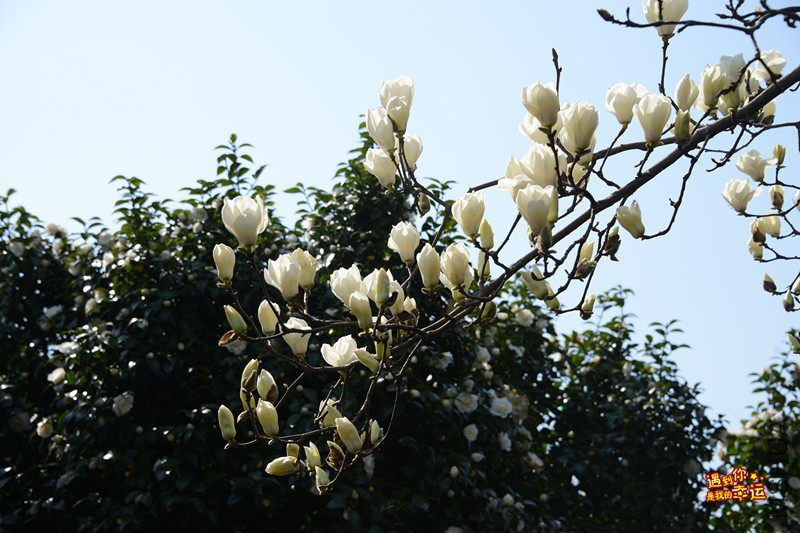 ��Ƭ 004_����.jpg