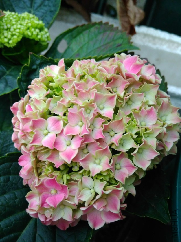 QQͼƬ20170319105200.jpg