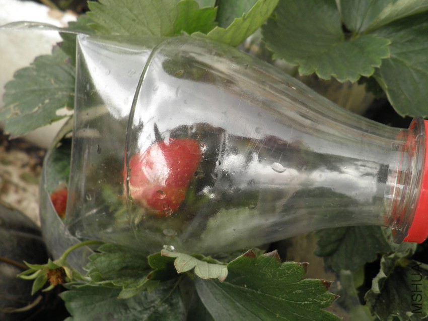 ���ı���2015 526.jpg