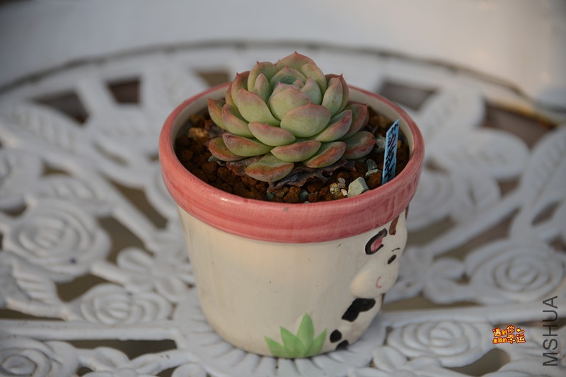 ��Ƭ 572_����.jpg