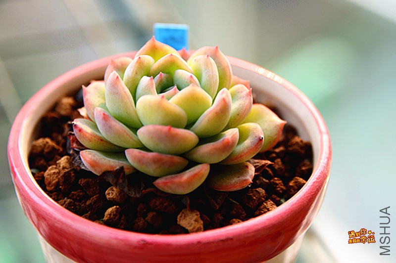 ��Ƭ 579_����.jpg