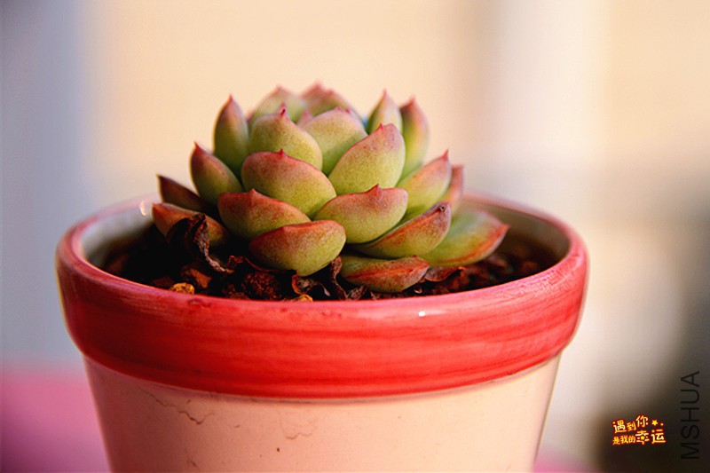 ��Ƭ 576_����.jpg