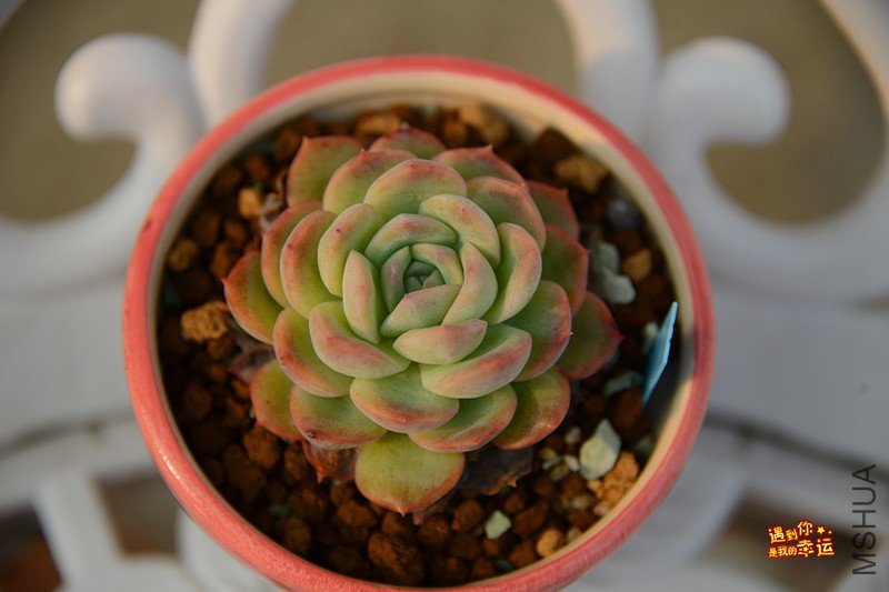 ��Ƭ 574_����.jpg