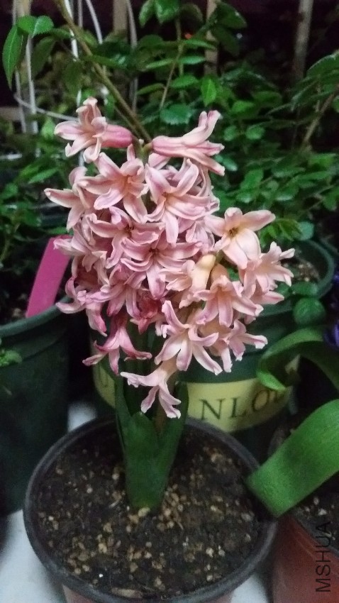 20170317_202311.jpg