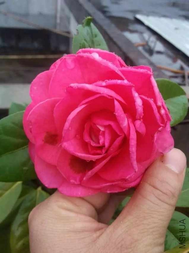 2345_image_file_copy_3.jpg