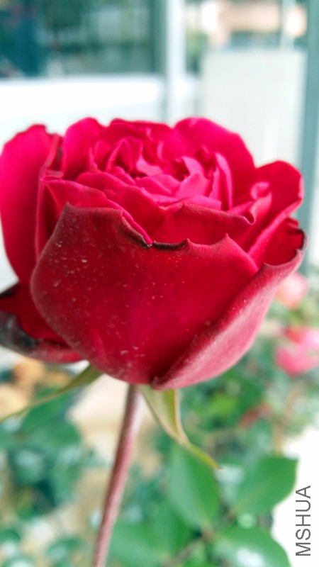 20170317_123921_����.jpg