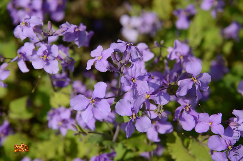 ��Ƭ 025_����.jpg