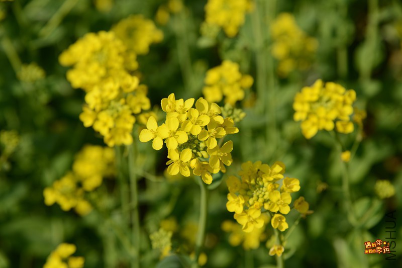 ��Ƭ 022_����.jpg