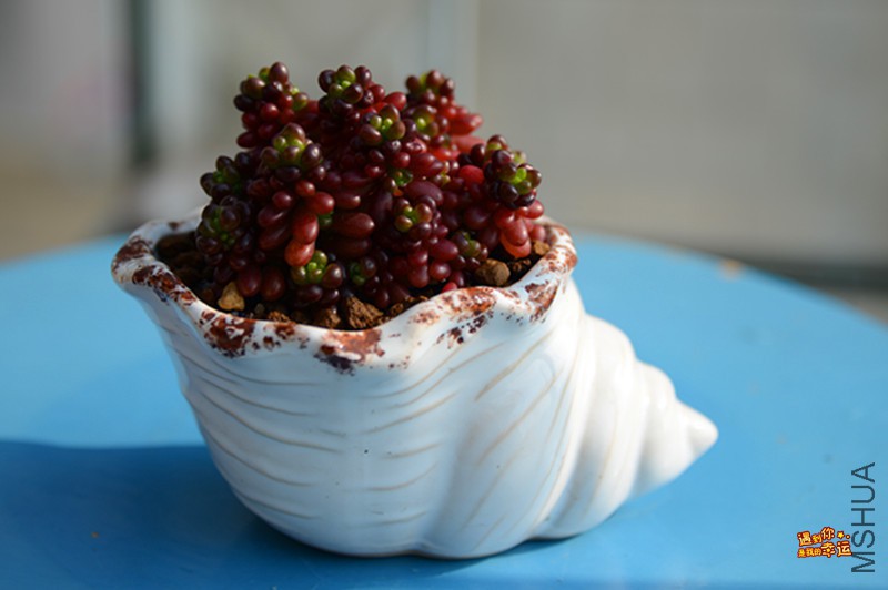 ��Ƭ 054_����.jpg