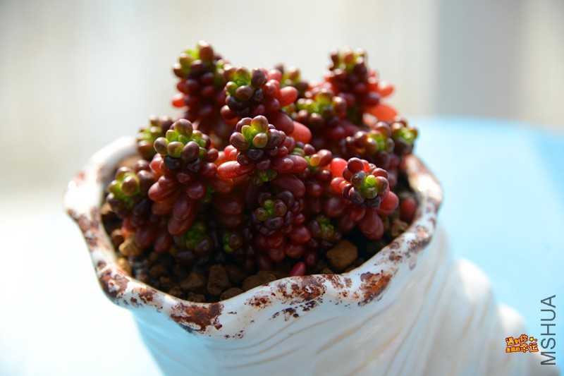 ��Ƭ 057_����.jpg