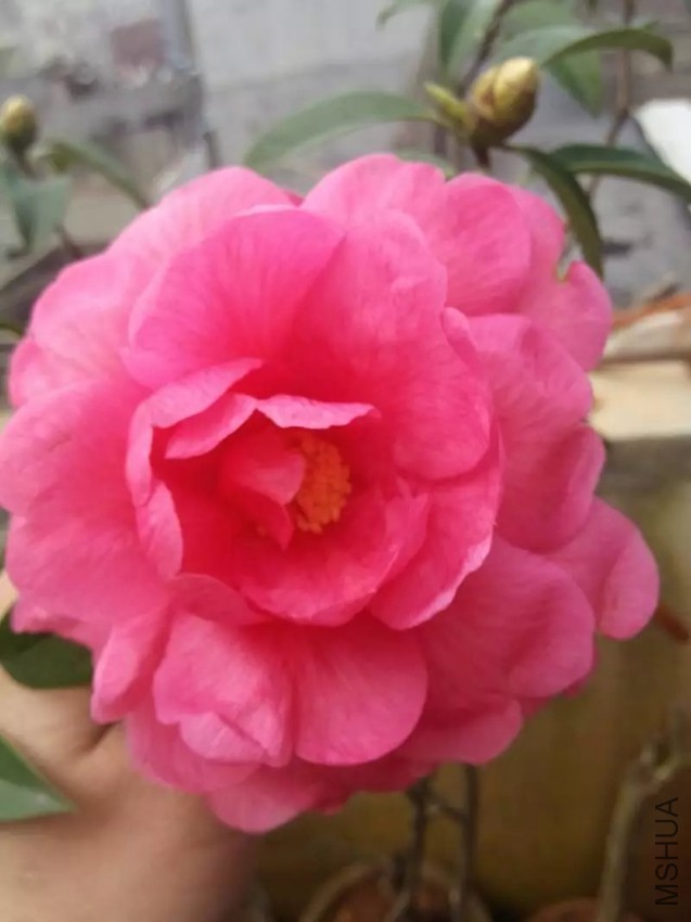 2345_image_file_copy_1.jpg