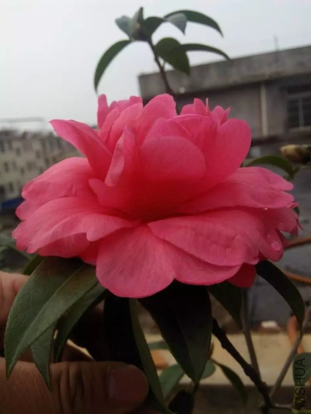 2345_image_file_copy_3.jpg
