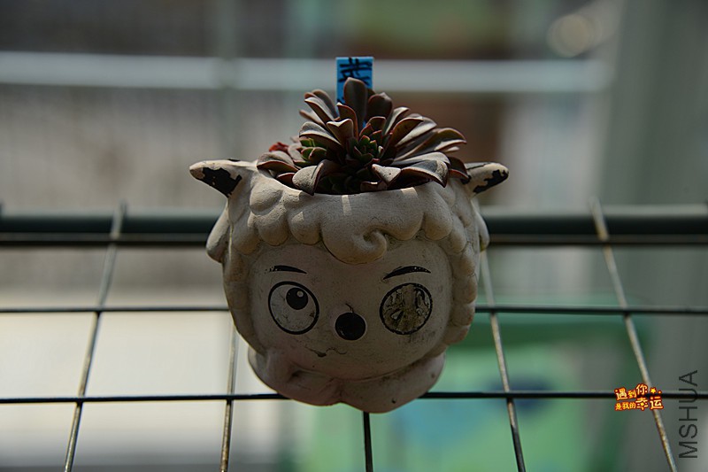 ��Ƭ 033_����.jpg