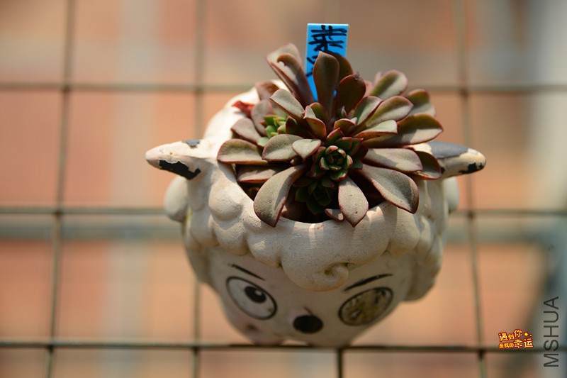 ��Ƭ 035_����.jpg