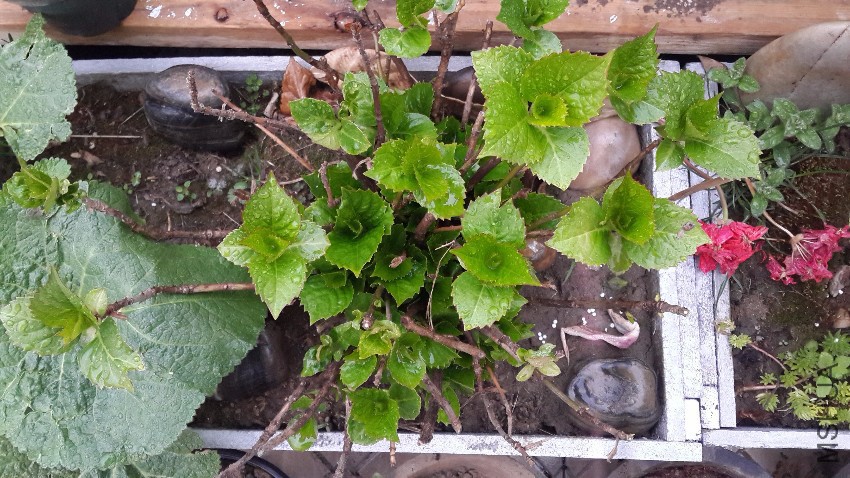 20170318_085629.jpg