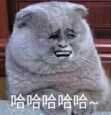 image.jpeg