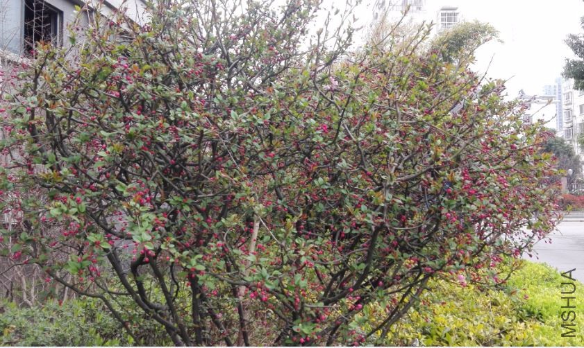 2017-03-21 16_38_50-IMG_20170318_164358.jpg