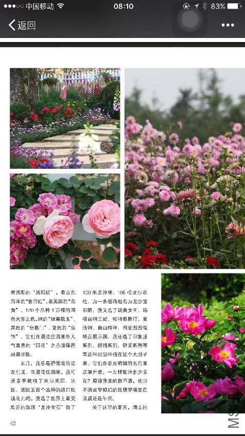 919972748342012421 - ����.jpg