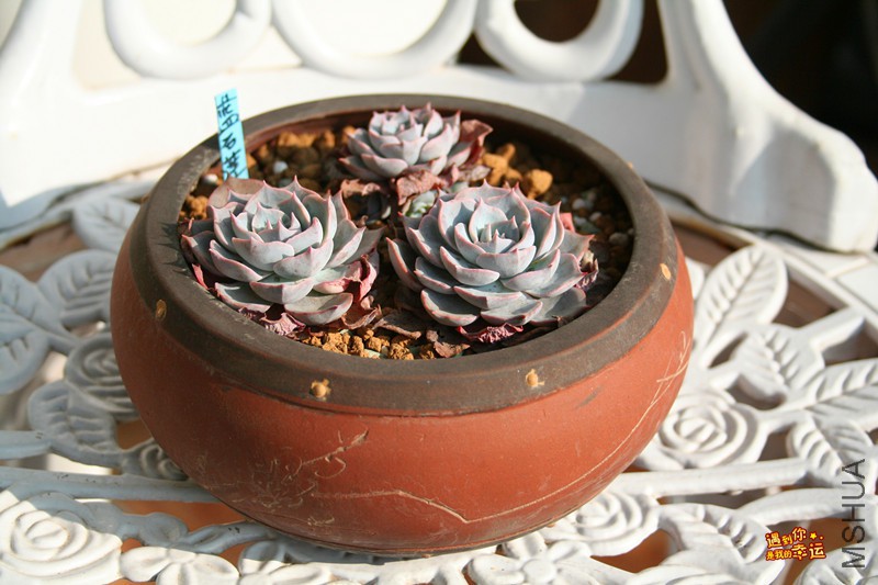 ��Ƭ 045_����.jpg