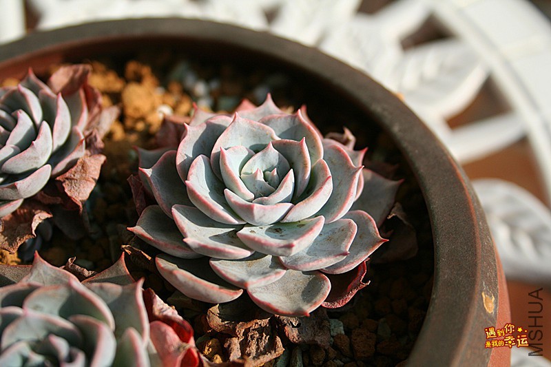 ��Ƭ 049_����.jpg