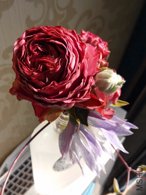 IMG20170322161251.jpg
