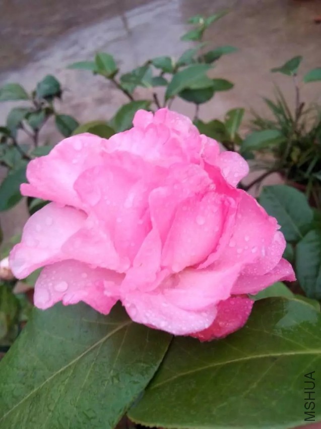 2345_image_file_copy_2.jpg