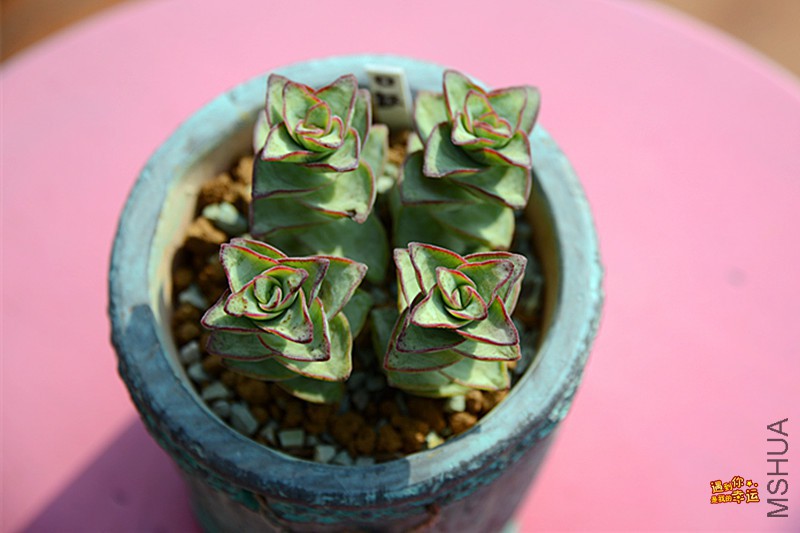 ��Ƭ 115_����.jpg