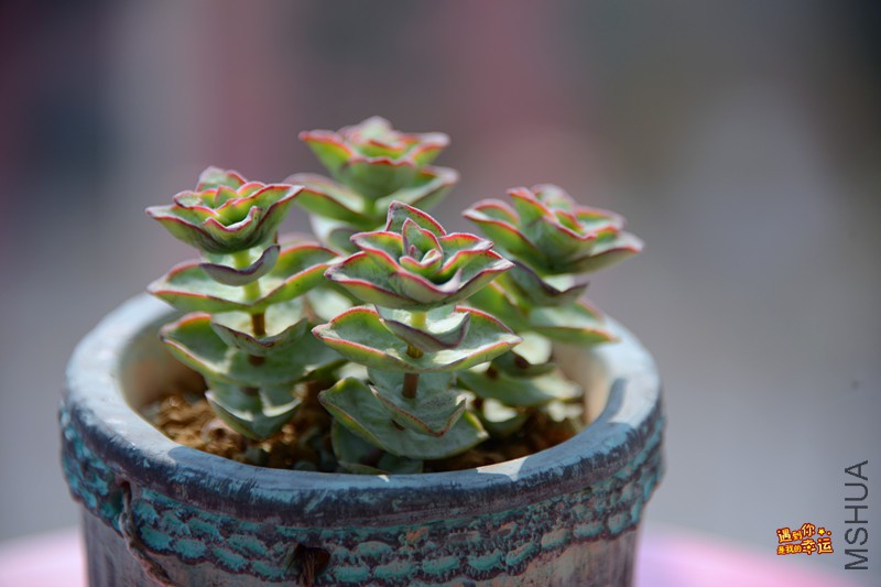 ��Ƭ 119_����.jpg