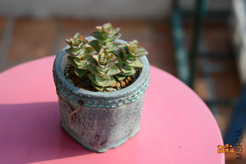 ��Ƭ 112_����.jpg