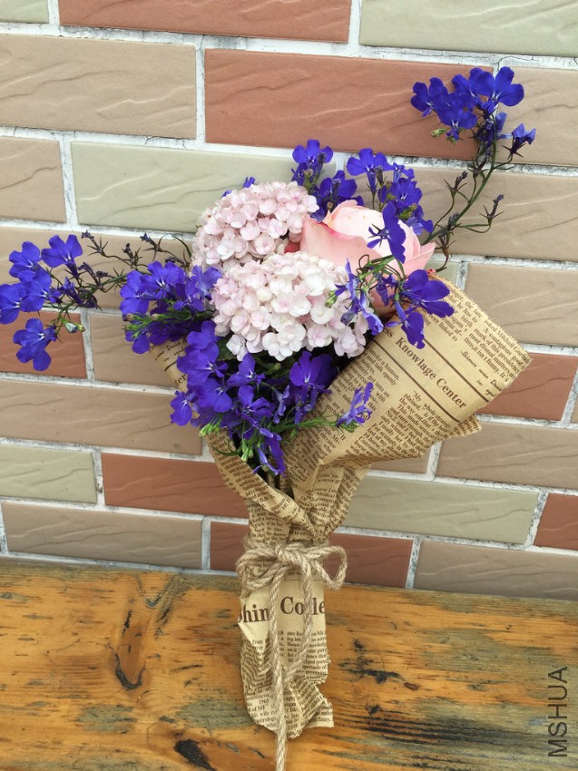 ��һ��С����