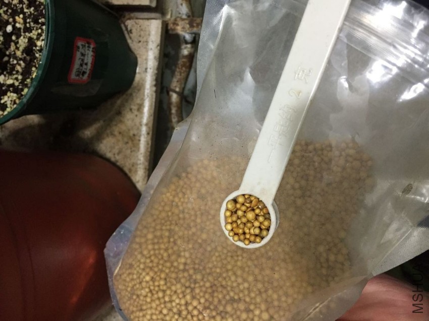 ���ͷʣ�2�˵����Ӹ���3ƽ��
