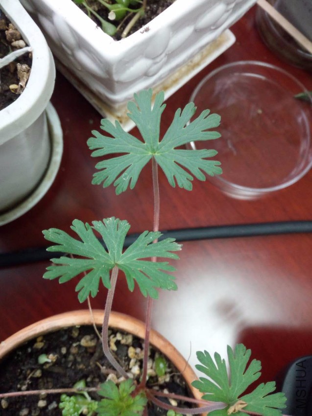 ΢��ͼƬ_20170324081853.jpg