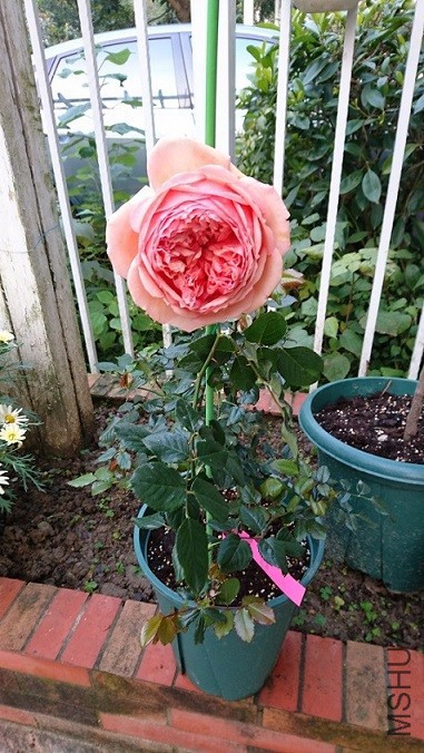 DSC_3048.JPG