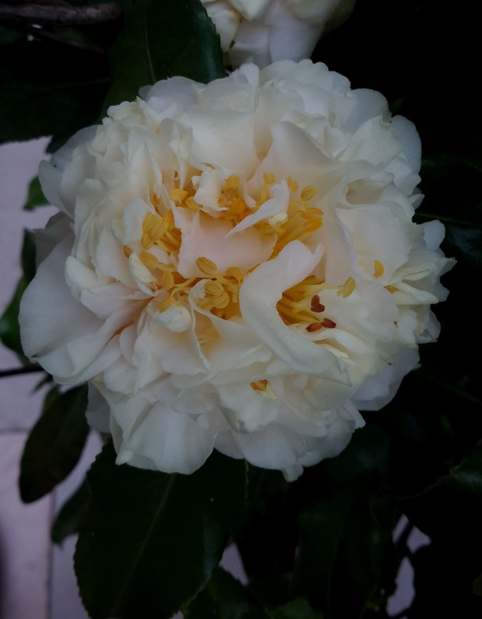 20170318_120754(0)_����.jpg