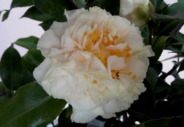 20170319_091000_����.jpg