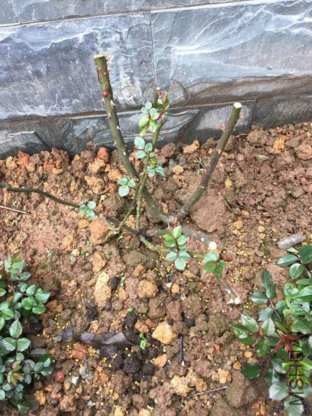 ����  ��.jpg