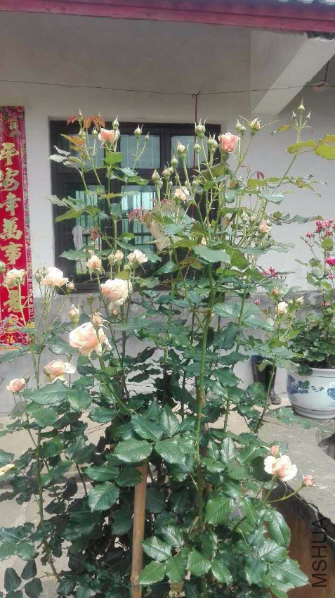 2016-04-28 174308.jpg