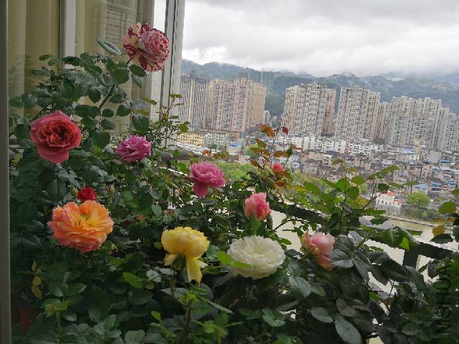 092348nyoyofhneokh8a83.jpg