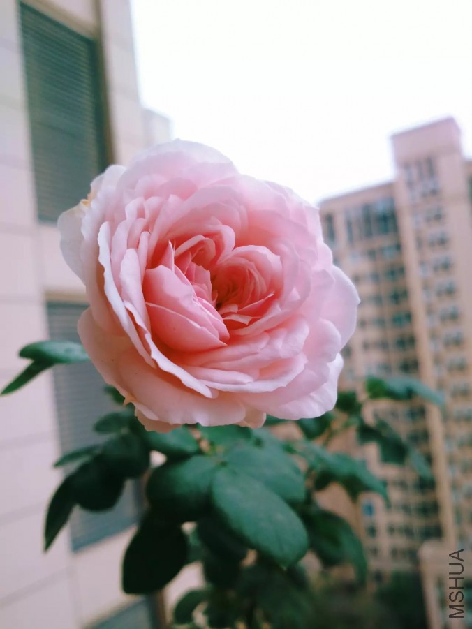�ҹ���.jpg