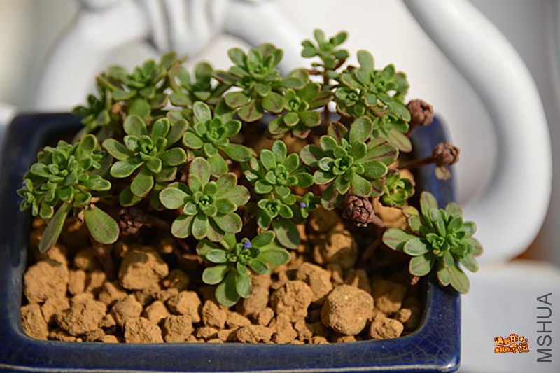 ��Ƭ 133_����.jpg