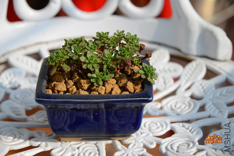 ��Ƭ 130_����.jpg