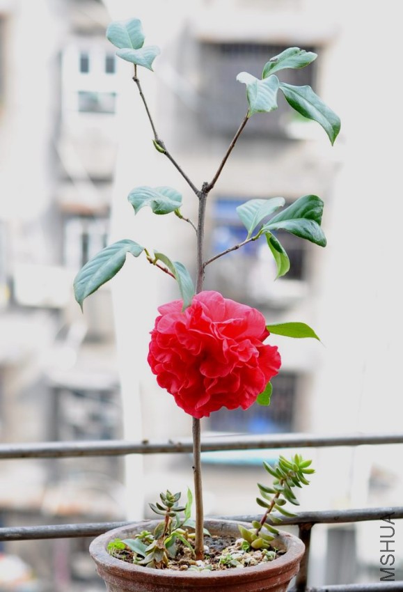 ���޵� (19).JPG